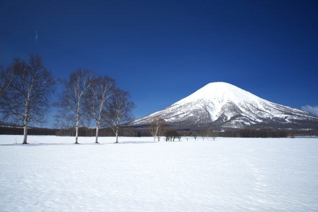 冬季休業のお知らせ