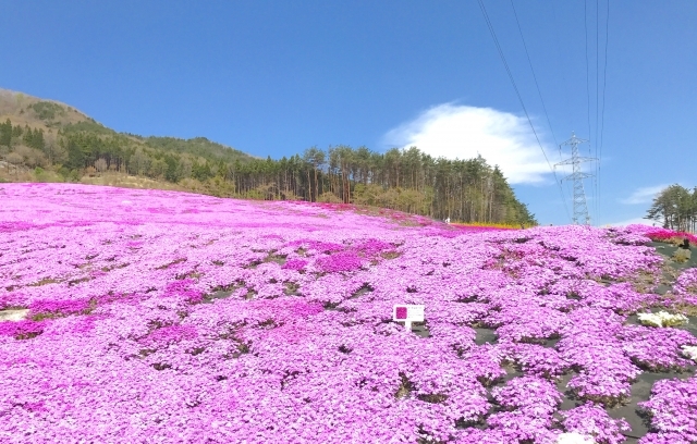 ゴールデンウイーク休業のお知らせ